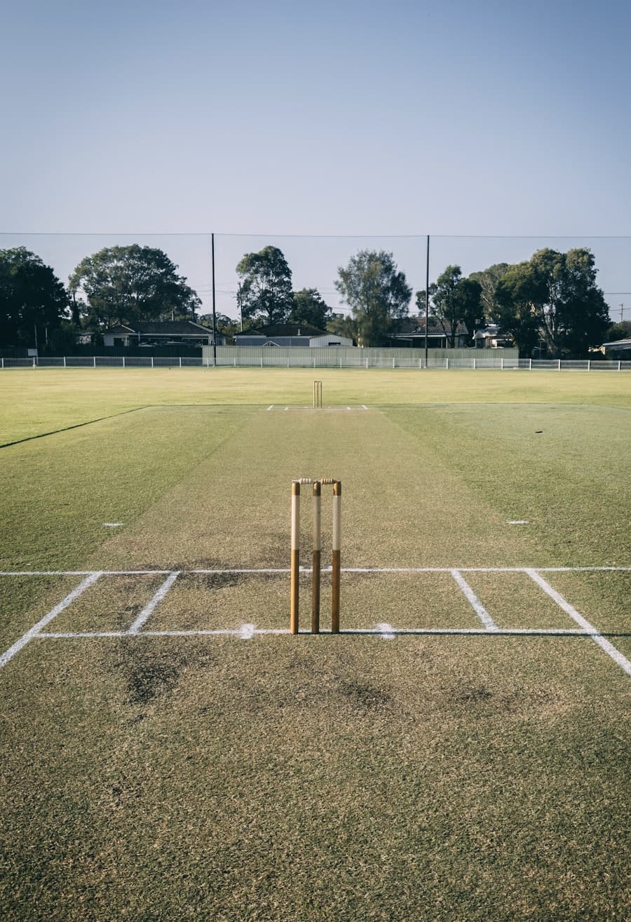 Cricket courts